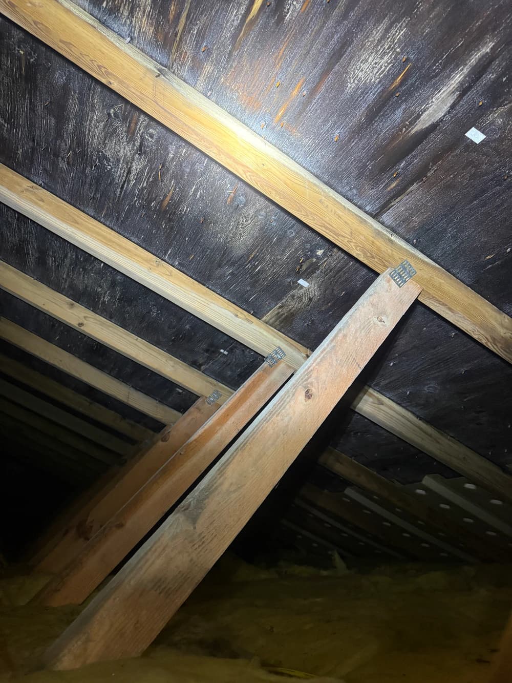 Dark staining across attic roof sheathing above wood rafters